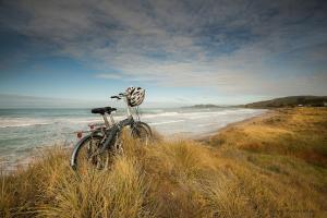 Motel Oasis, Gisborne,Patutahi>>Gisborne,4 star