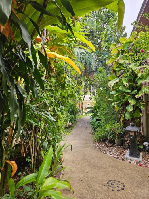 fishermans village samui yoga retreat