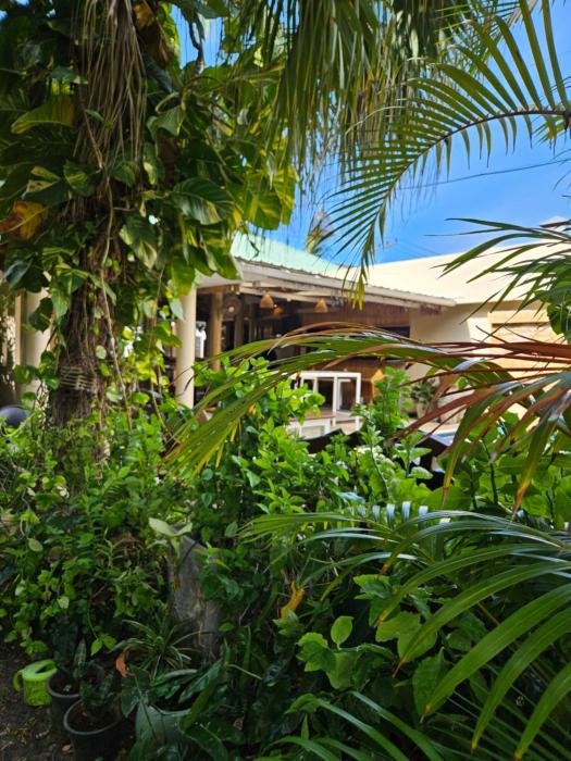 fishermans village samui yoga retreat