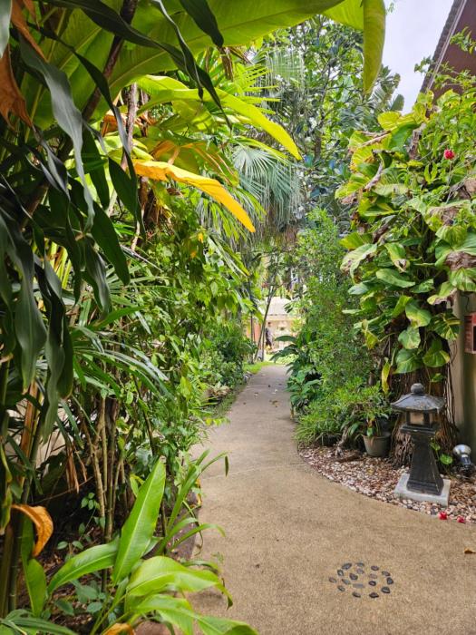 fishermans village samui yoga retreat