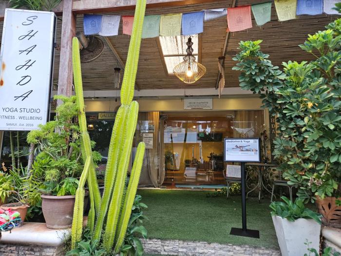fishermans village samui yoga retreat