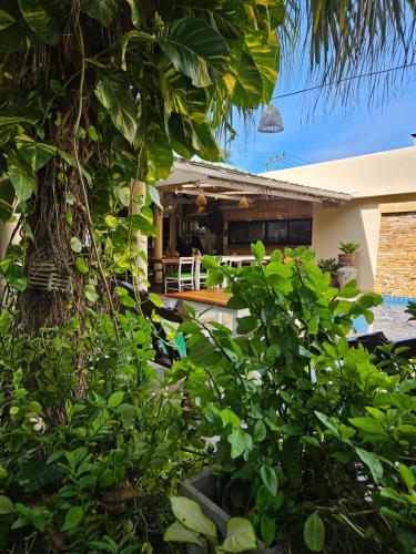 fishermans village samui yoga retreat
