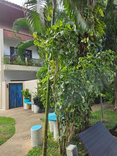 fishermans village samui yoga retreat