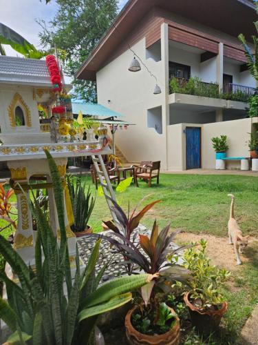 fishermans village samui yoga retreat
