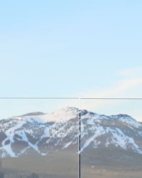 whitefish