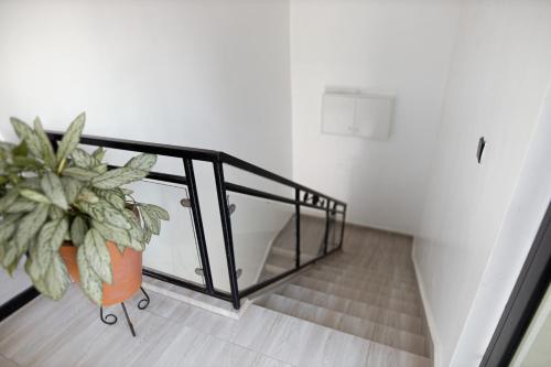 zola apartments
