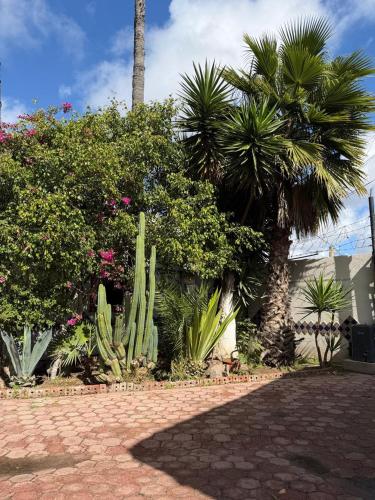 hotel hacienda rosarito