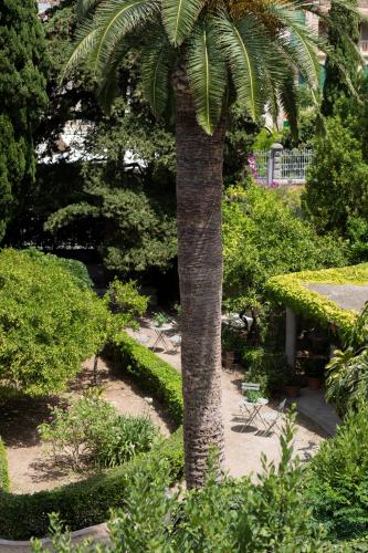 soller