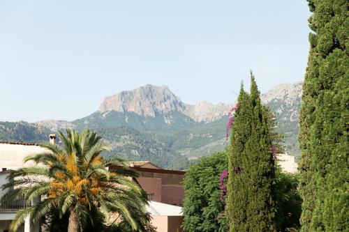 soller