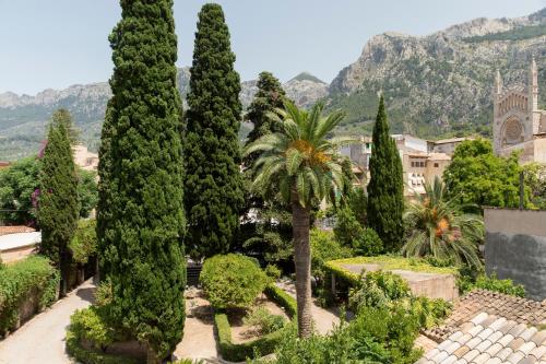 soller