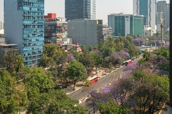 nido reforma