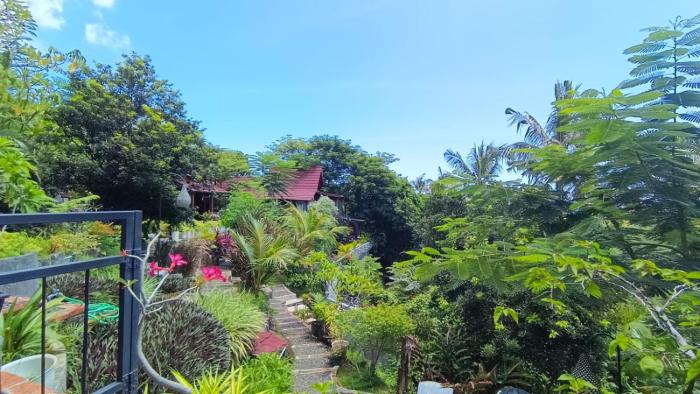 aramaya hills boutique