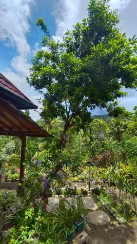 aramaya hills boutique