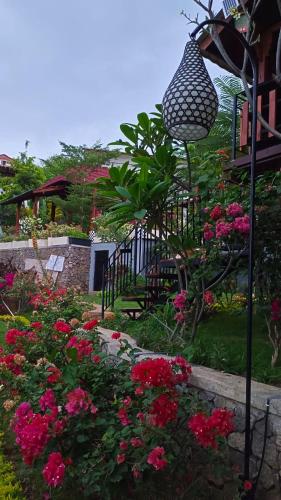 aramaya hills boutique