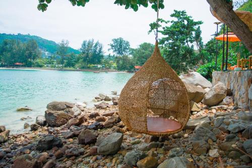 the cozy beach front hotel
