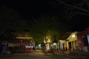 tree aura retreat