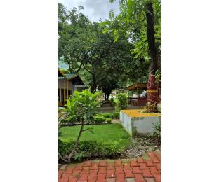 tree aura retreat