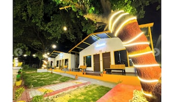tree aura retreat