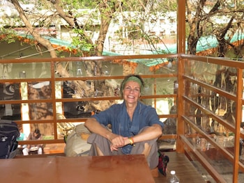 tree aura retreat
