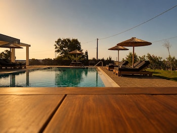 mat suites