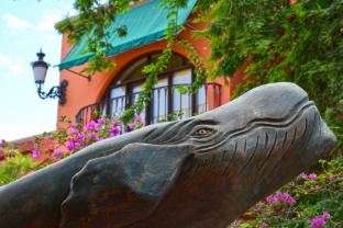 collection o casa bella hotel boutique cabo san lucas