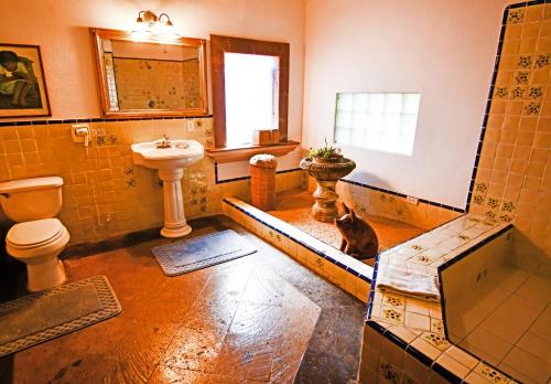 collection o casa bella hotel boutique cabo san lucas