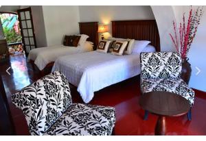 collection o casa bella hotel boutique cabo san lucas