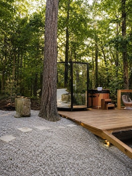 forest springs resort