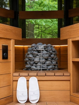 forest springs resort