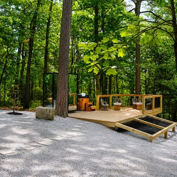 forest springs resort