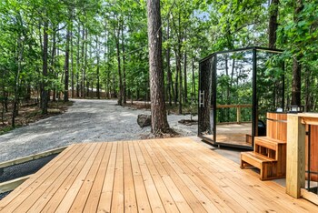 forest springs resort
