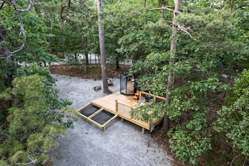 forest springs resort