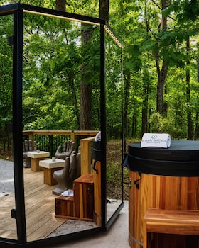 forest springs resort