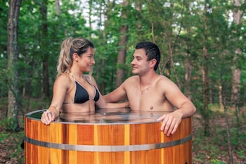 forest springs resort
