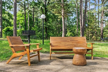 forest springs resort