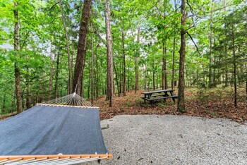 forest springs resort