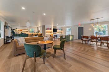 forest springs resort
