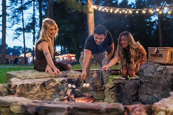 forest springs resort