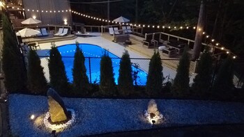 forest springs resort