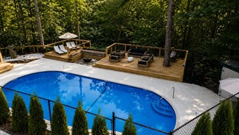 forest springs resort