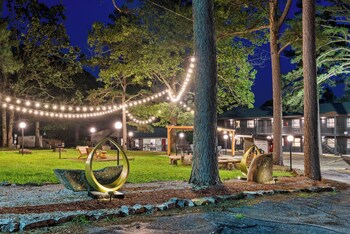 forest springs resort
