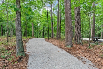 forest springs resort