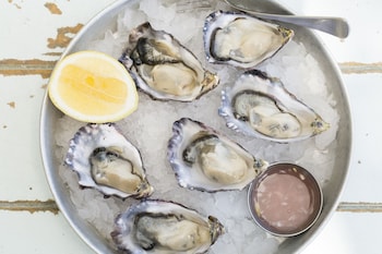 the oyster inn