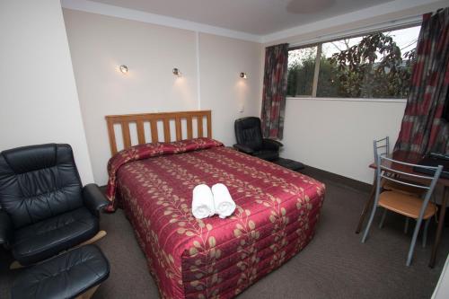 commodore motor lodge