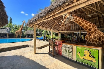 staysocial diani backpackers andsocial hub
