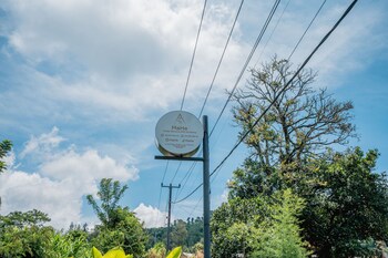 kintamani