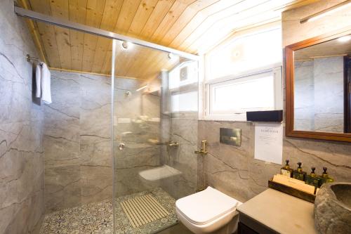 elivaas 3bhk plus attic cliffside villa