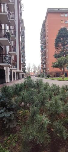 Michele Flat - 10 Min Da Milano Centro,,3 star