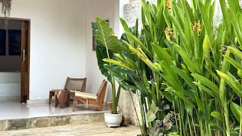 villa mango