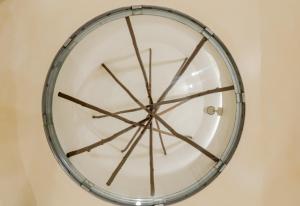 azalea houses adults only